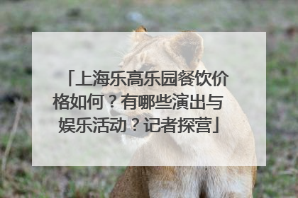 上海乐高乐园餐饮价格如何？有哪些演出与娱乐活动？记者探营