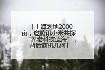 上海划地2000亩，邀腾讯小米共探“养老科技蓝海”，背后商机几何