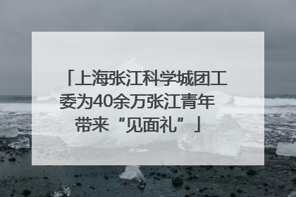 上海张江科学城团工委为40余万张江青年带来“见面礼”