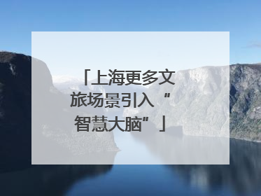 上海更多文旅场景引入“智慧大脑”