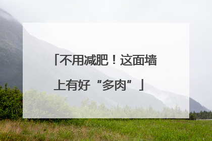 不用减肥！这面墙上有好“多肉”