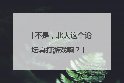 不是，北大这个论坛真打游戏啊？