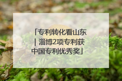 专利转化看山东｜淄博2项专利获中国专利优秀奖