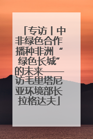 专访丨中非绿色合作播种非洲“绿色长城”的未来——访毛里塔尼亚环境部长拉格达夫