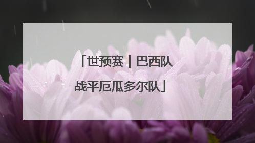 世预赛｜巴西队战平厄瓜多尔队