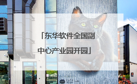 东华软件全国副中心产业园开园