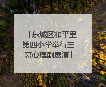 东城区和平里第四小学举行三幕心理剧展演