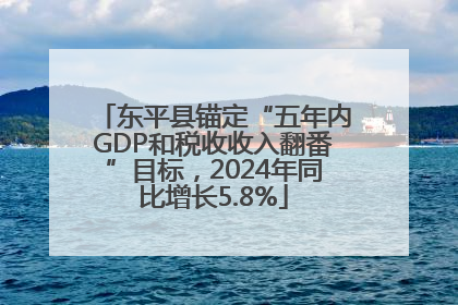 东平县锚定“五年内GDP和税收收入翻番”目标，2024年同比增长5.8%