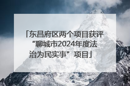 东昌府区两个项目获评“聊城市2024年度法治为民实事”项目