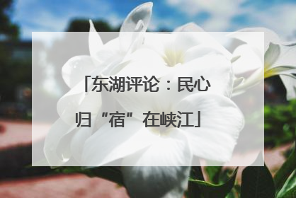 东湖评论：民心归“宿”在峡江