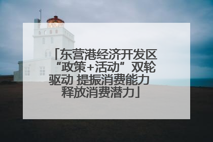 东营港经济开发区“政策+活动”双轮驱动 提振消费能力 释放消费潜力