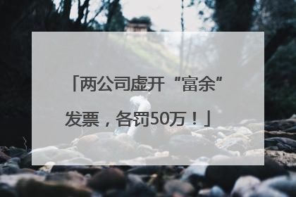 两公司虚开“富余”发票，各罚50万！