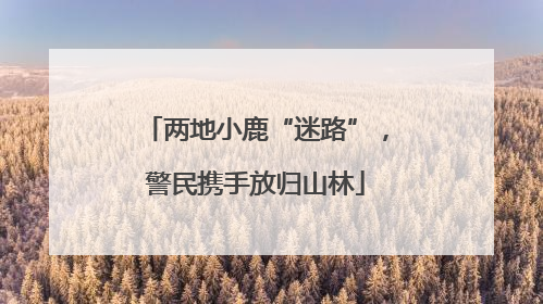 两地小鹿“迷路”，警民携手放归山林