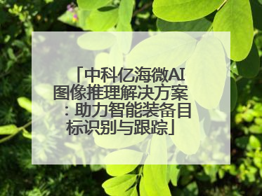 中科亿海微AI图像推理解决方案：助力智能装备目标识别与跟踪