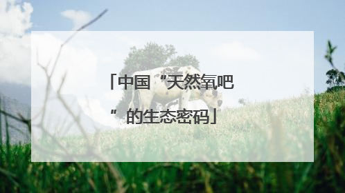 中国“天然氧吧”的生态密码