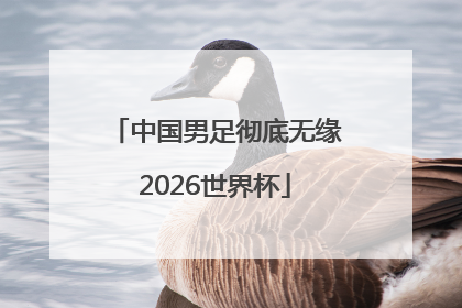 中国男足彻底无缘2026世界杯