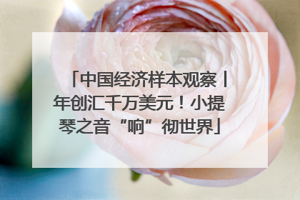 中国经济样本观察丨年创汇千万美元！小提琴之音“响”彻世界