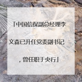 中国信保副总经理李文森已升任党委副书记，曾任职于央行