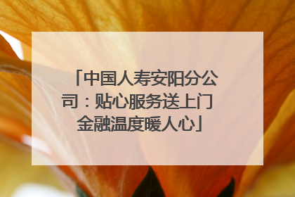 中国人寿安阳分公司：贴心服务送上门 金融温度暖人心
