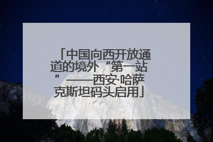 中国向西开放通道的境外“第一站”——西安·哈萨克斯坦码头启用