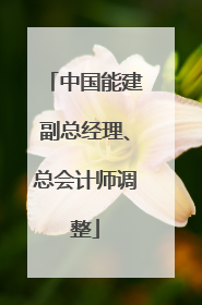 中国能建副总经理、总会计师调整