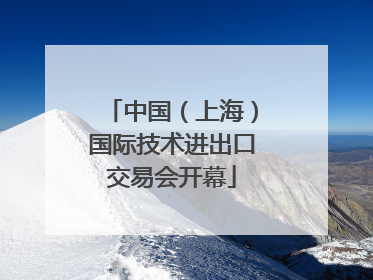 中国（上海）国际技术进出口交易会开幕