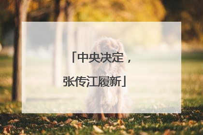 中央决定，张传江履新