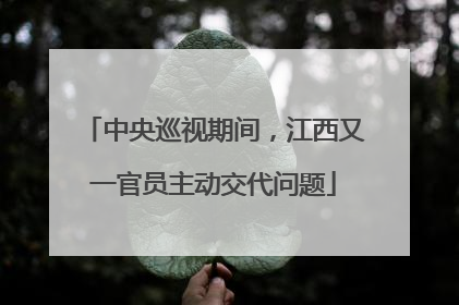 中央巡视期间，江西又一官员主动交代问题
