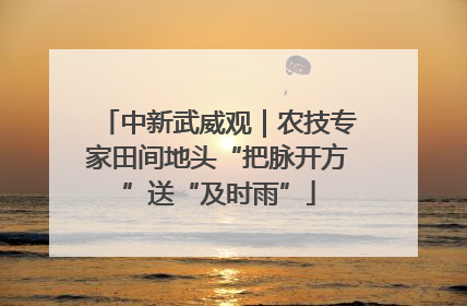 中新武威观｜农技专家田间地头“把脉开方”送“及时雨”