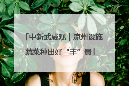 中新武威观｜凉州设施蔬菜种出好“丰”景