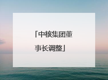 中核集团董事长调整