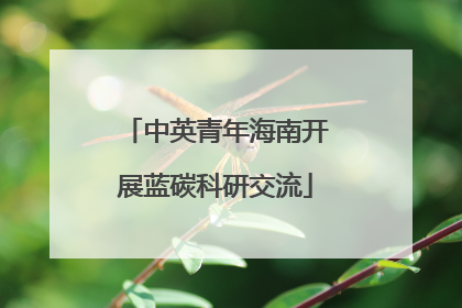 中英青年海南开展蓝碳科研交流