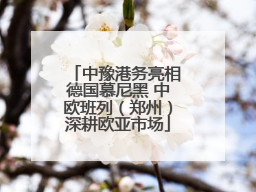 中豫港务亮相德国慕尼黑 中欧班列（郑州）深耕欧亚市场