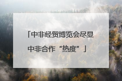 中非经贸博览会尽显中非合作“热度”