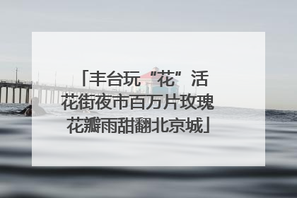 丰台玩“花”活 花街夜市百万片玫瑰花瓣雨甜翻北京城