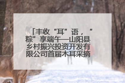 丰收“耳”语，“粽”享端午—山阳县乡村振兴投资开发有限公司首届木耳采摘活动盛大启幕