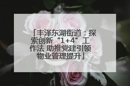 丰泽东湖街道：探索创新“1+4”工作法 助推党建引领物业管理提升