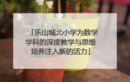 乐山城北小学为数学学科的深度教学与思维培养注入新的活力