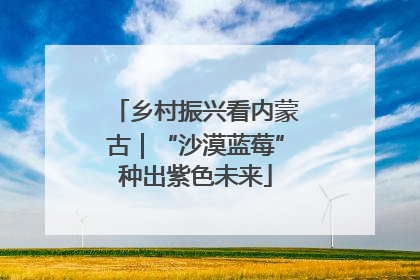 乡村振兴看内蒙古｜“沙漠蓝莓”种出紫色未来