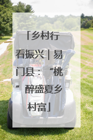 乡村行 看振兴｜易门县：“桃”醉盛夏乡村富