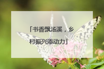 书香飘汤溪，乡村振兴添动力