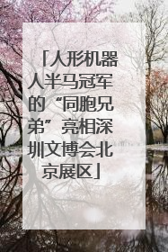 人形机器人半马冠军的“同胞兄弟”亮相深圳文博会北京展区