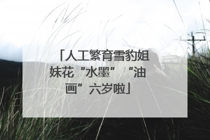 人工繁育雪豹姐妹花“水墨”“油画”六岁啦