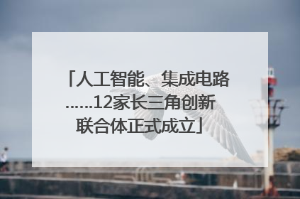 人工智能、集成电路……12家长三角创新联合体正式成立