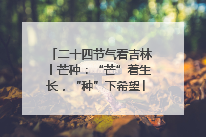 二十四节气看吉林丨芒种：“芒”着生长，“种”下希望