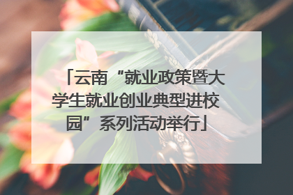 云南“就业政策暨大学生就业创业典型进校园”系列活动举行