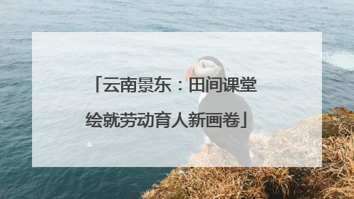 云南景东：田间课堂绘就劳动育人新画卷
