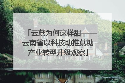 云蔗为何这样甜——云南省以科技助推蔗糖产业转型升级观察