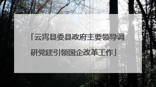 云霄县委县政府主要领导调研党建引领国企改革工作