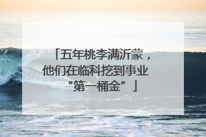 五年桃李满沂蒙，他们在临科挖到事业“第一桶金”